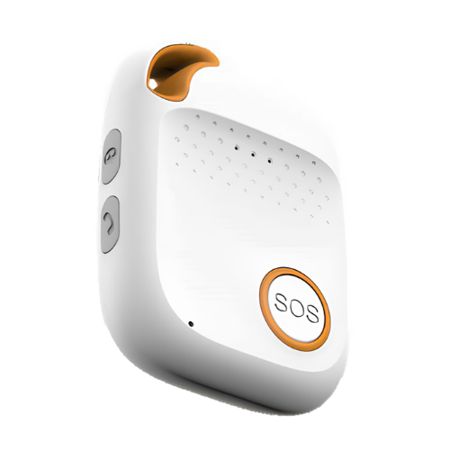 Real-Time Geolocation Tracking Interface and Dashboard View
